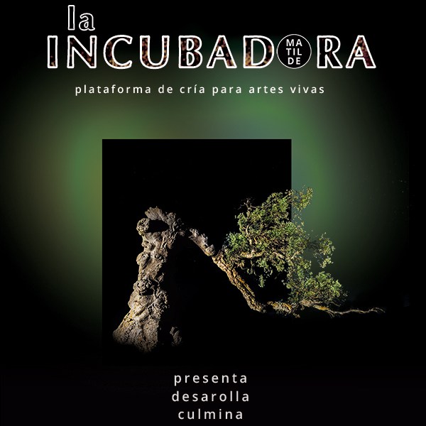 la INCUBADORA