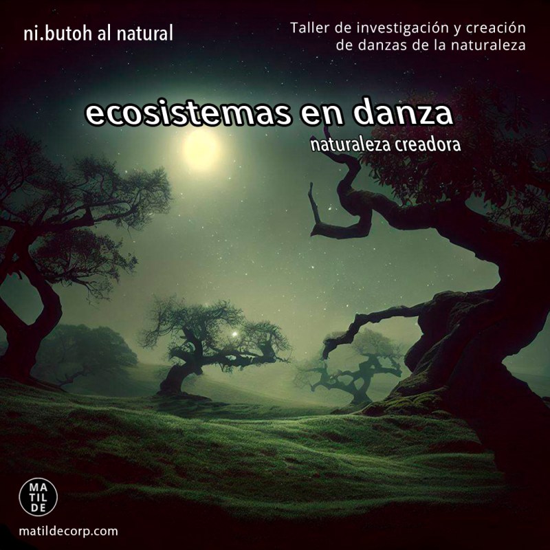 ni.butoh: ECOSISTEMAS EN&nbsp;DANZA
