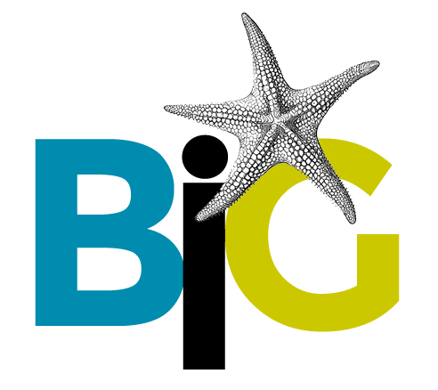 encuentro butoh internacional — BIG / miniBIG 1