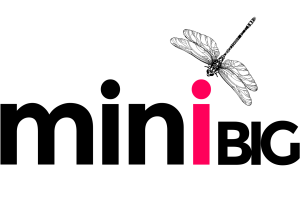 miniBIG26